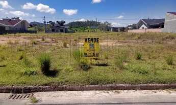 Imagem 4: Terreno no bairro Divineia em Rio dos Cedros