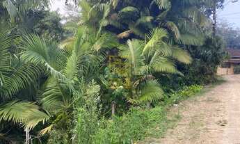 Imagem: LINDO TERRENO EM BLUMENAU
