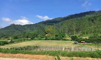 Imagem: Terreno amplo para investimento