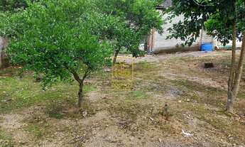Imagem 6: Casa com potencial comercial no Bairro das Capitais em Timbó