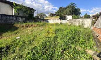 Imagem: Excelente terreno murado no bairro Quintino