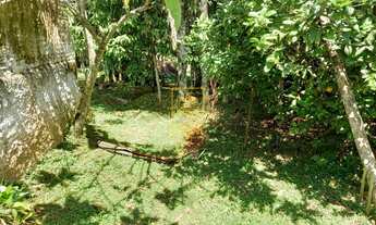 Imagem 5: Casa com amplo terreno no Bairro Quintino