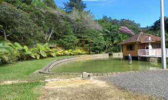 Imagem 3: Encantador sítio com 2 lagoas em Apiúna