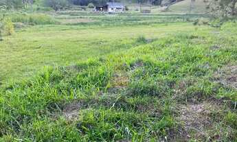 Imagem 6: Terrenos em Alto Cedros em Rio dos Cedros