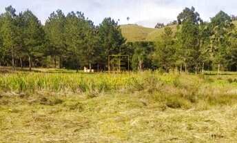 Imagem: Terrenos em Alto Cedros em Rio dos Cedros