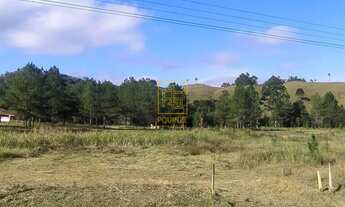 Imagem 2: Terrenos em Alto Cedros em Rio dos Cedros