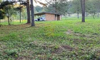 Imagem 7: Terrenos em Alto Cedros em Rio dos Cedros