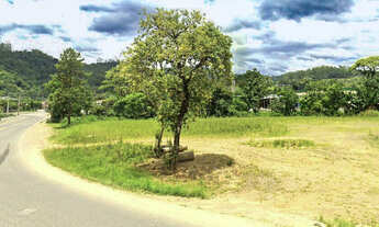 Imagem: Terreno em Benedito Novo