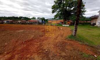 Imagem 3: Terrenos em ótima localização