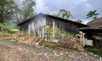 Imagem 6: Sítio com quintal, área de cultivo e casa ampla no Tiroleses