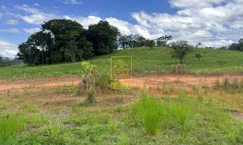 Imagem 2: Amplo terreno em Rio dos Cedros