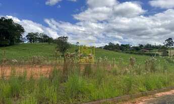 Imagem 3: Amplo terreno em Rio dos Cedros