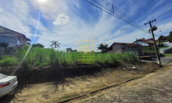 Imagem 3: Terrenos excelentes para investimento!