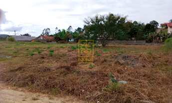 Imagem: Terreno no Bairro Araponguinhas em Timbó