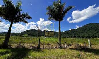 Imagem 2: Amplo terreno em Rio dos Cedros