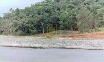 Imagem 2: Terreno no Bairro Araponguinhas em Timbó