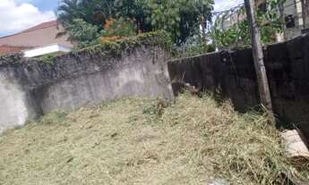 Imagem 7: Terreno para venda no Jdm Avelino