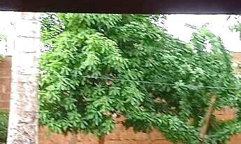 Imagem 3: Casa Térrea - 4 quartos/4 banheiros B. Jardim Noroeste Campo Grande MS