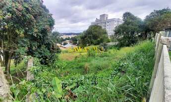Imagem 2: Terreno no Tingui AV Mário Tourinho