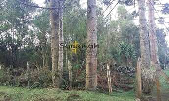 Imagem: Terreno Lote para Venda em Rio de Una São