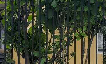 Imagem: Sobrado Padrão para Venda em Capão Raso