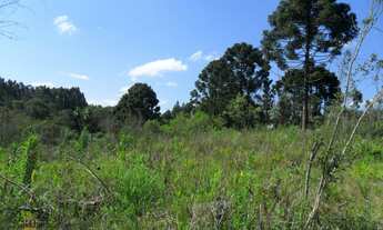 Imagem: Terreno Lote para Venda em Centro Mandirituba-PR