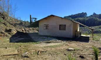 Imagem: Chácara para Venda em Rocinha Mandirituba-PR