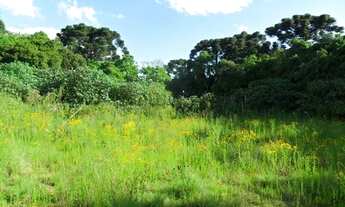 Imagem: Terreno para Venda em Centro Araucária-PR