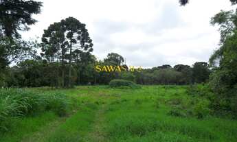 Imagem: Terreno para Venda em Roseira São José