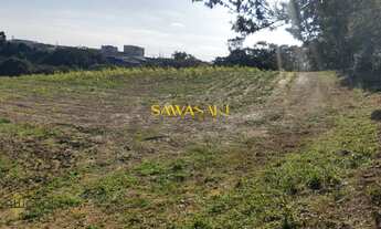 Imagem: Terreno para Venda em Campina da Barra Araucária-PR