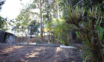 Imagem 7: Terreno ZR-2 Casa com 3 dormitórios