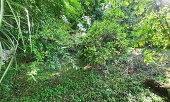 Imagem 7: Casa Padrão com Terreno no Guabirotuba