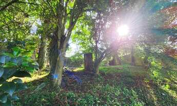 Imagem 3: Casa Padrão com Terreno no Guabirotuba