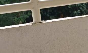 Imagem 4: Parque Real - Apartamento em Jardim Ísis, Cotia/SP