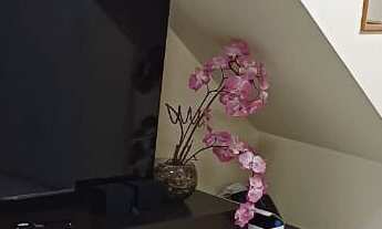 Imagem 7: Parque Real - Casa em Jardim Ísis, Cotia/SP