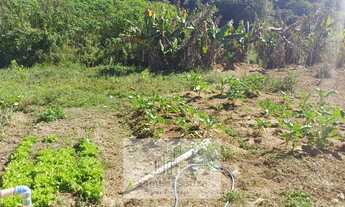 Imagem 5: Chácara à venda no bairro Paisagem Casa Grande - Cotia/SP