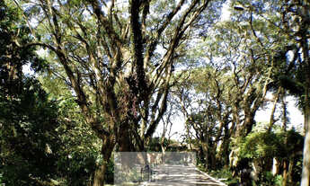 Imagem 3: Condomínio Vila Vianna - Terreno à venda no bairro Vila Vianna - Cotia/SP