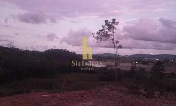 Imagem 6: Próximo à SC 470 DISTRITO INDUSTRIAL