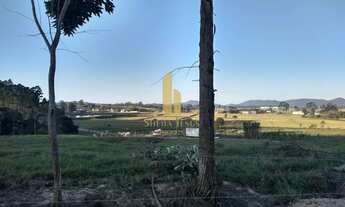 Imagem 2: Próximo à SC 470 DISTRITO INDUSTRIAL