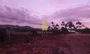 Imagem 5: Próximo à SC 470 DISTRITO INDUSTRIAL