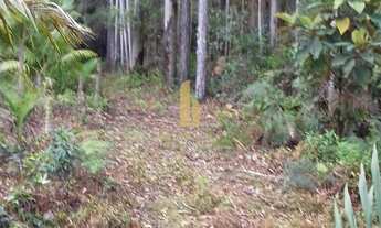 Imagem 7: Linda Fazenda em Nova Trento/SC