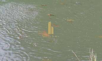 Imagem 3: Linda Fazenda em Nova Trento/SC