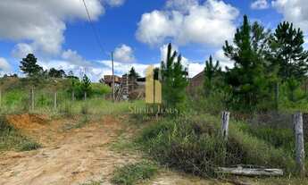 Imagem: Terreno de 330m² à venda em Camboriú