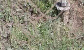 Imagem 6: Terreno ZR3 à venda no bairro Mossunguê - Curitiba/PR