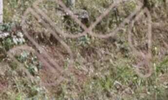 Imagem 4: Terreno ZR3 à venda no bairro Mossunguê - Curitiba/PR