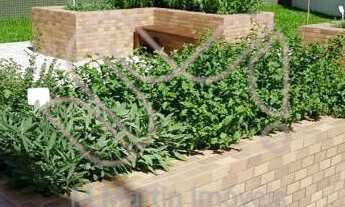 Imagem 6: Apartamento Padrão Edifício Annecy