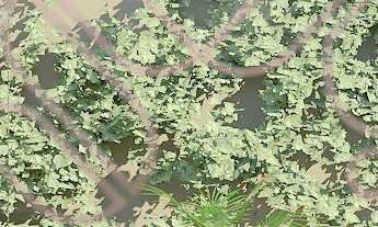 Imagem 6: Apartamento Garden Portão