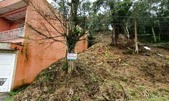 Imagem 6: TERRENO 335,50 M² - TOPOGRAFIA ACLIVE - OÁSIS PAULISTA - RGS