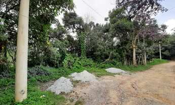 Imagem: TERRENOS CALIFORNIA PAULISTA