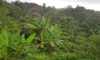 Imagem 4: Lotes à Venda - Jardim Esperança, Próximo à Pedreira!